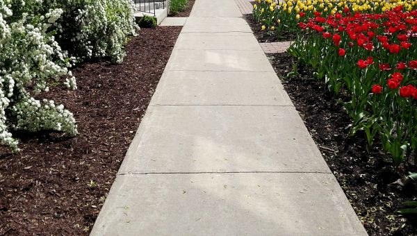 Cement Sidewalk Installation in Cedar Falls