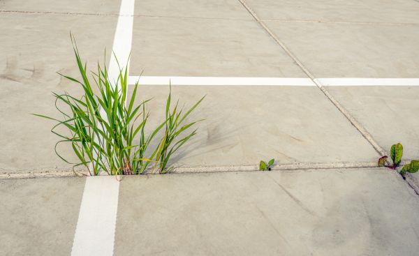 Concrete Parking Installation in Cedar Falls
