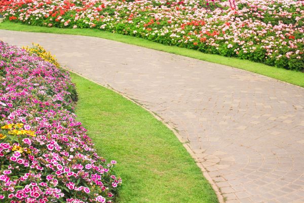 Concrete Walkway Service in Cedar Falls